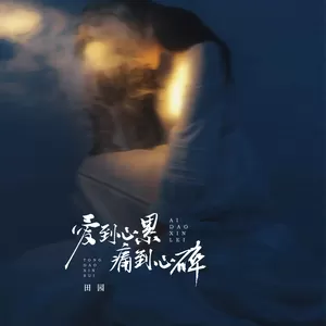 田园 - 爱到心累痛到心碎(伴奏)