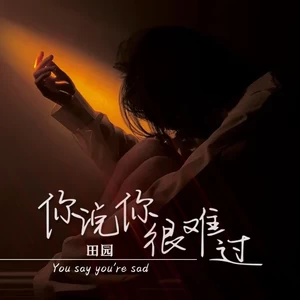 田园 - 你说你很难过(伴奏)