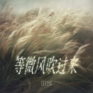 田园 - 等微风吹过来(伴奏)