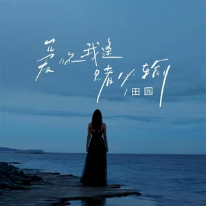 田园 - 爱你我逢赌必输