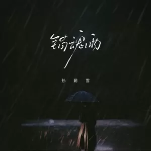 孙茹雪 - 销魂雨