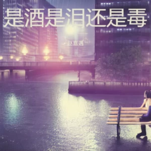 赵嘉遇 - 是酒是泪还是毒