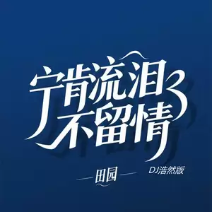 田园 - 宁肯流泪不留情(DJ浩然版伴奏)