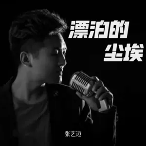 张艺迈 - 漂泊的尘埃