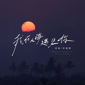 田园/苏谭谭 - 我在人海遇见你(合唱)
