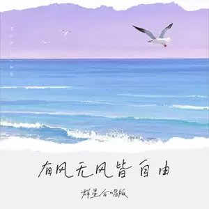 阿斌斌/王小乱/刘阳阳/田园/卢润泽/潘成（皮卡潘）/王一佳/趣巧巧 - 有风无风皆自由(群星合唱版伴奏)
