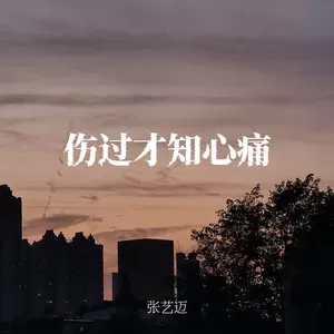 伤过才知心痛