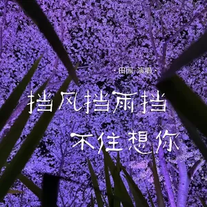 田园 - 挡风挡雨挡不住想你