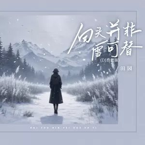 田园 - 白头并非雪可替(DJ浩然版)