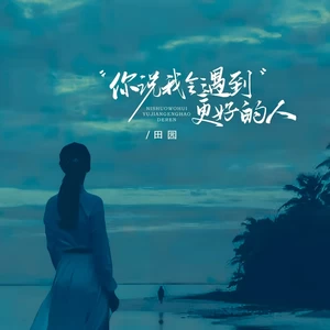 田园 - 你说我会遇到更好的人(伴奏)