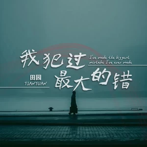田园 - 我犯过最大的错(伴奏)