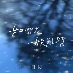 田园 - 如雪花一般短暂