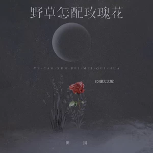 田园 - 野草怎配玫瑰花(DJ豪大大版)
