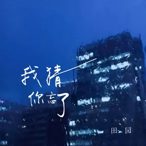 田园 - 我猜你忘了(伴奏)