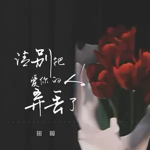 田园 - 请别把爱你的人弄丢了(伴奏)