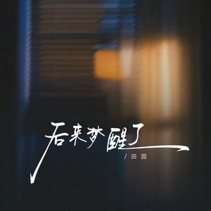 田园 - 后来梦醒了