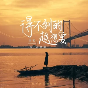 得不到的越想要(DJ九零版)