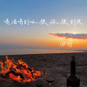 田园 - 喝酒喝到吐想你想到哭(DJ版)
