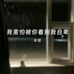 我害怕被你看到我自卑 伴奏