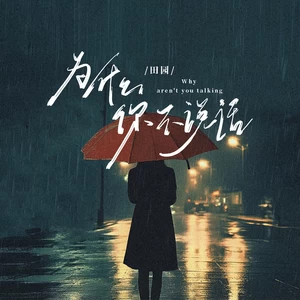田园 - 为什么你不说话(和声伴奏)