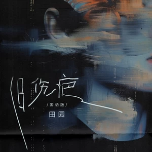 田园 - 旧伤疤(国语版)