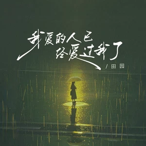 我爱的人已经爱过我了(DJ阿鑫版伴奏)