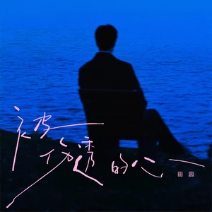 田园 - 被伤透的心（DJ豪大大版）