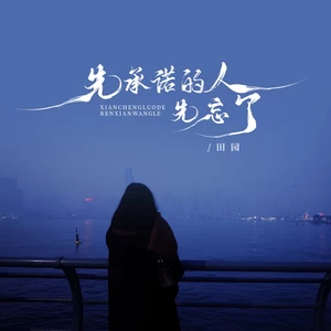 田园 - 先承诺的人先忘了(伴奏)