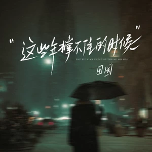 这些年撑不住的时候(DJ豪大大版)