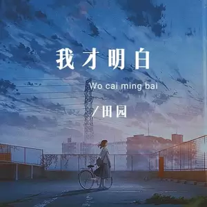 田园 - 我才明白(DJ彭锐版伴奏)