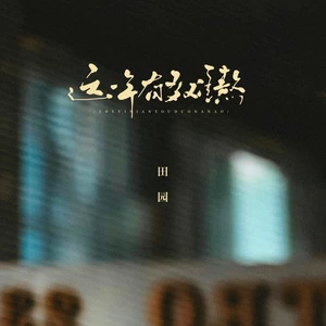 田园 - 这一年有多难熬(哈市DJ小海版)