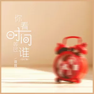 田园 - 你看时间等过谁(DJR7版伴奏)