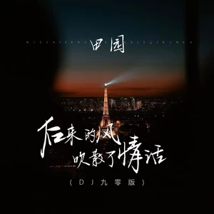 田园 - 后来的风吹散了情话(DJ九零版伴奏)