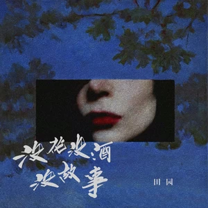 田园 - 没花没酒没故事(DJ默涵版伴奏)