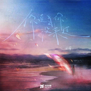田园 - 你说当你没来过(DJR7)
