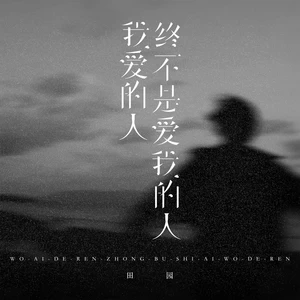 田园 - 我爱的人终不是爱我的人（海南DJ茂版）