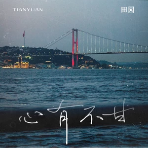 田园 - 心有不甘(DJ版伴奏)