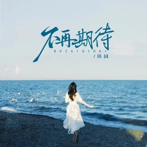 田园 - 不再期待 （你的离开将我掩埋）(伴奏)