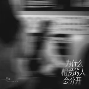 田园 - 为什么相爱的人会分开(DJ沈乐版伴奏)