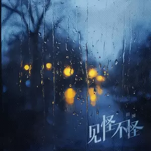 见怪不怪(伴奏)
