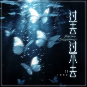 田园 - 他是我过不去的过去(伴奏)