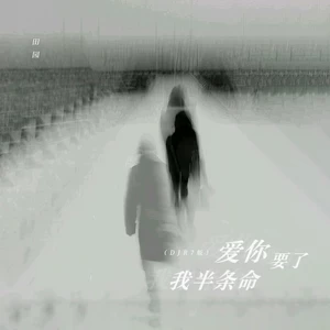 爱你要了我半条命(DJR7版伴奏)