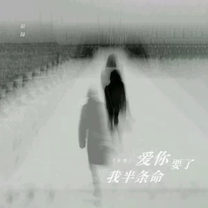 爱你要了我半条命(女版)
