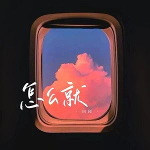 田园 - 怎么就（emo版）