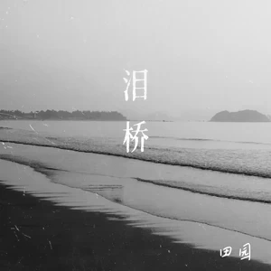 田园 - 泪桥