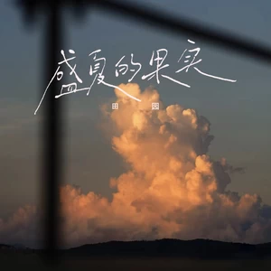 田园 - 盛夏的果实(DJ版)