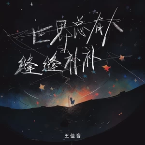 王佳音 - 世界总有人缝缝补补(DJ九零版)