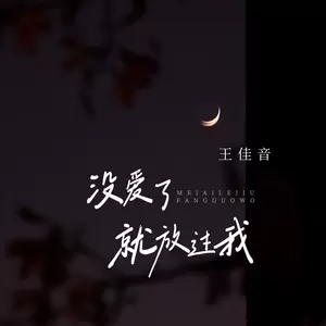 王佳音 - 没爱了就放过我(伴奏)