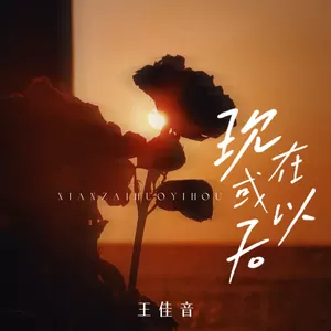 王佳音 - 现在或以后