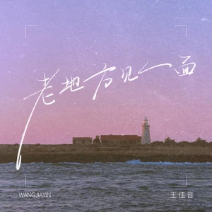 王佳音 - 老地方见一面(伴奏)